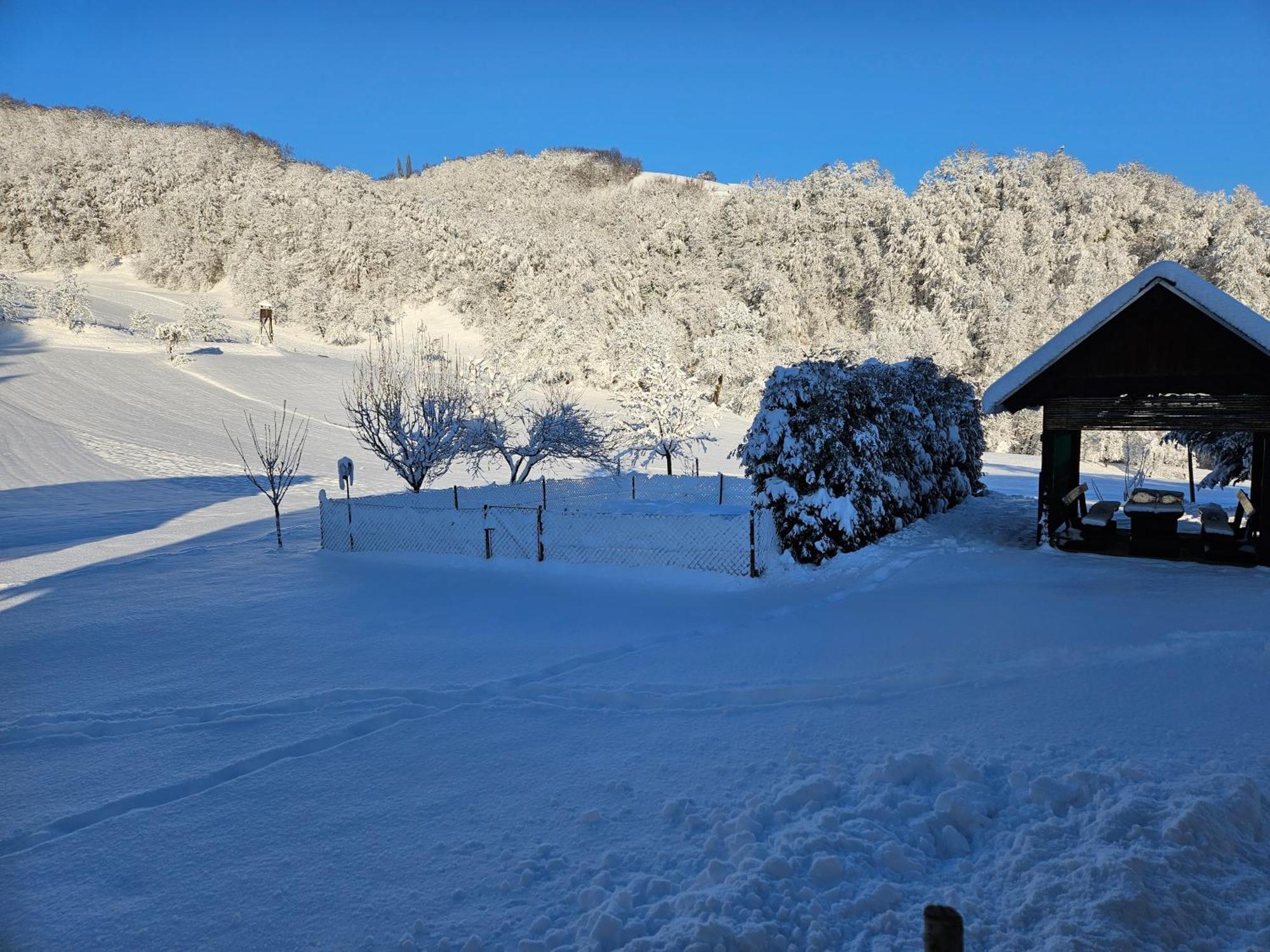 Francek House Podcetrtek Villa Buce Dış mekan fotoğraf